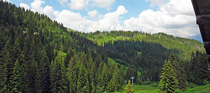 Vue magnifique depuis les chambres sur les montagnes des Aravis et la nature. Été comme hiver chaque saison apporte son lot de couleurs